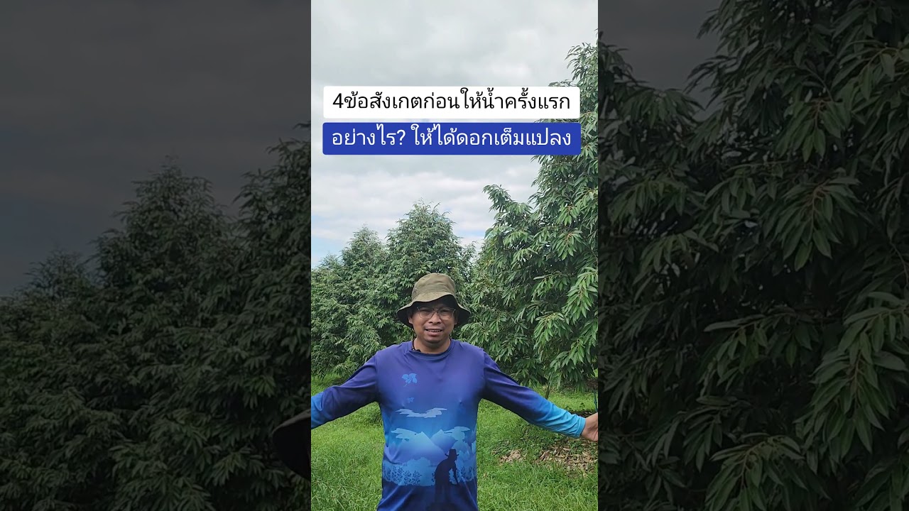 4ข้อสัวงเกตก่อนเเข้าน้ำครั้งแรก หลังกักโศกอย่างไรให้ได้ดอก??? | @ทุเรียนเรียนรู้ไปด้วยกัน