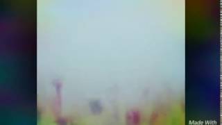 يا مساء الاستغراب كلنا واحد مش اغراب      - اسمعها