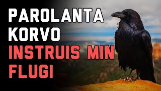 Parolanta Korvo Instruis Min Flugi