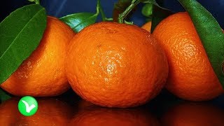 Что нужно знать о МАНДАРИНЕ. Полезны ли мандарины? Что нужно знать о МАНДАРИНЕ. Полезны ли мандарины?