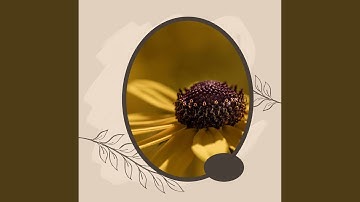 Pulsating Ambiance for Rejuvenating Seasons