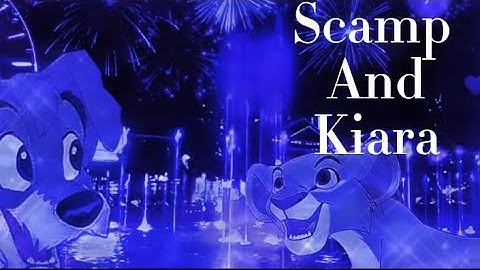 Scamp and Kiara “ Count Me In “MEP Part