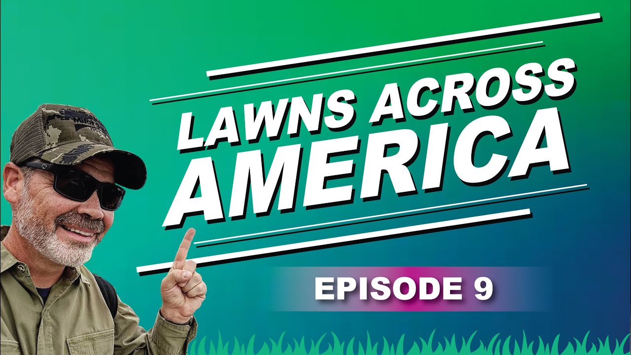 Lawn Starter Fertilizer | Take All Patch Disease | Early Spring Raking Tips Episode 9