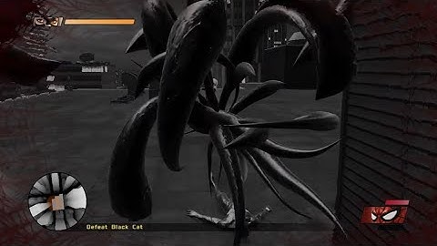 Black Cat Kills Symbiote Spider-Man | Spider-Man Web Of Shadows