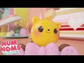 Special day  num noms s for kids