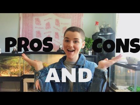 beautycon Pros and Cons to Shaving Your Head With Trichotillomania!