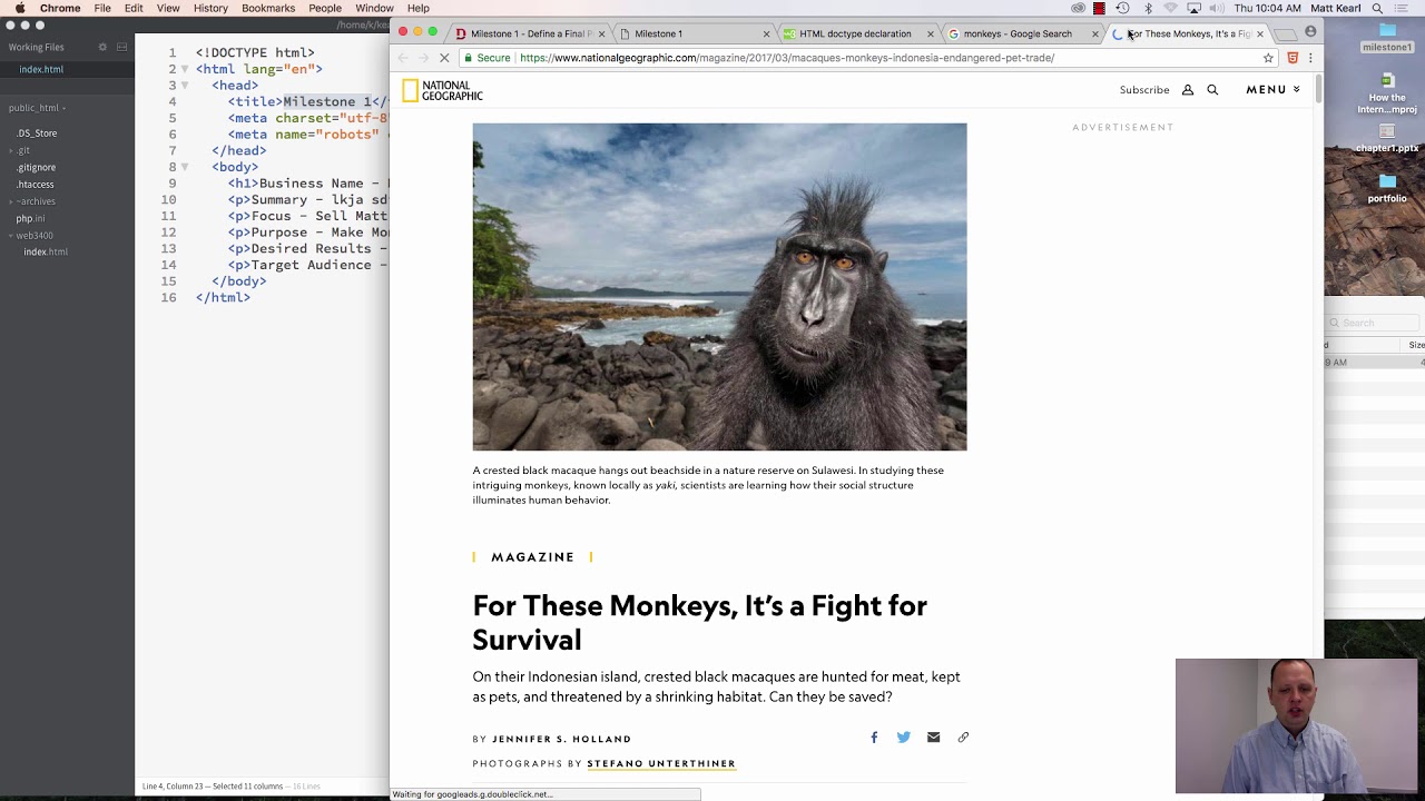 Web1400 - Module 1 - Editors, Hosting, & Uploads