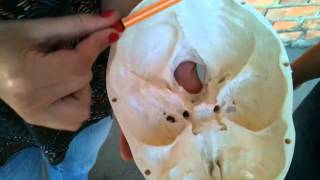 IMG 00182