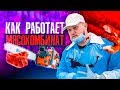 БЛОГЕР ПОШЕЛ НА ЗАВОД? - [ХОЧУ РАБОТАТЬ]