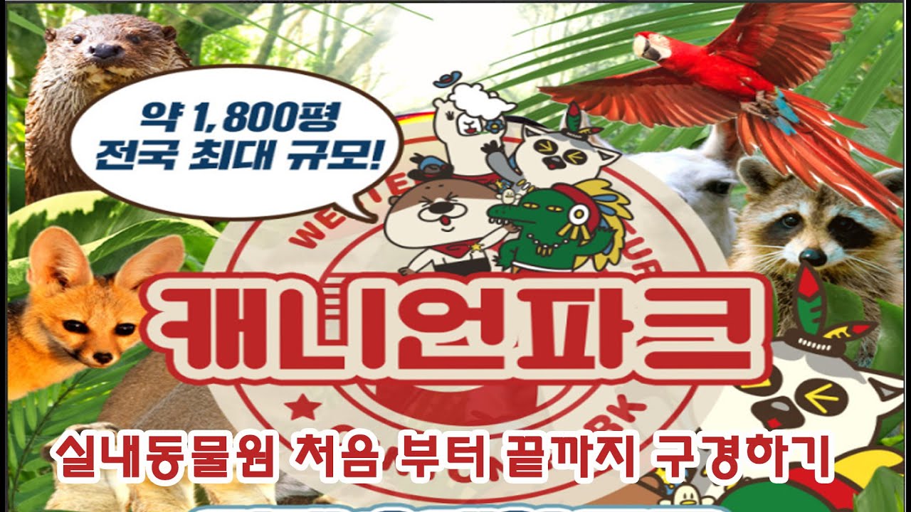 평택 캐니언파크 실내 동물원 : 처음 부터 끝까지 둘러보기 - YouTube 평택 캐니언파크 실내 동물원 : 처음 부터 끝까지 둘러보기 - Youtube