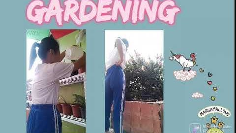 RECREATIONAL ACTIVITIES (PE 104)