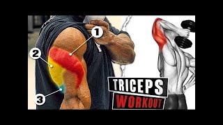 أفضل تمارين تضخيم الترايسبس و استهداف جميع زواياها تمارين قوية triceps exercices 1