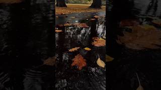 Ellerini Çekip Benden... Rock Cover