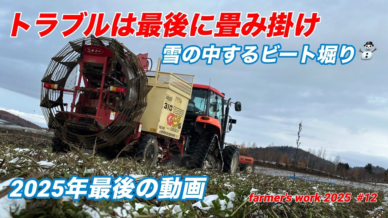 雪の中のビート掘り【トラブルはやっぱり最後にやってくる♪】2025年最後の動画