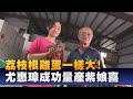 尤惠璋苦心栽培十二年 紫娘喜荔枝量產上市