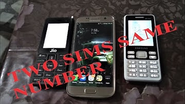 How to get two sims with same number