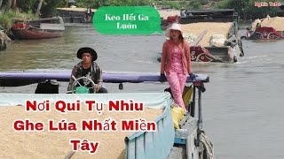 Cả 100 Chiếc Ghe Chở Lúa Tranh Nhau Vượt Cống.Chỉ Vì 1 Lý Do ? .ít ai ngờ tới