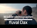 Yuval Dax - Wildlife photography Israel