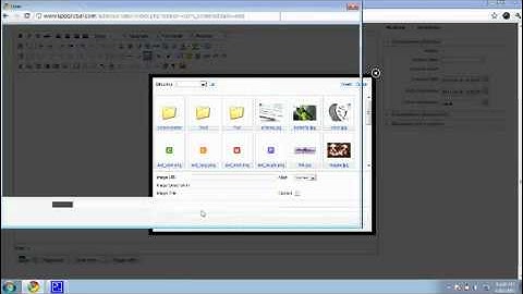 KPO Global   Joomla Article Manager  Insert a Picture