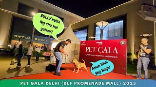 Bully🐶ne krdi RAMP WALK 😎 Delhi ke Top luxury👑Mall mei !! #petgala #dogshow #amanandbully @DLFMalls