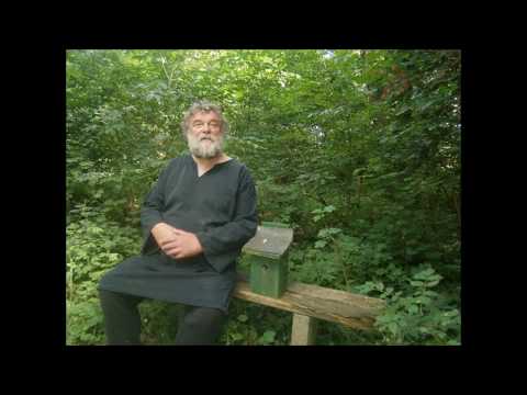 ingolf-stein-:-heute-hier,-morgen-dort