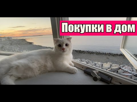 Обновки в доме.