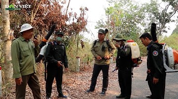 Tỉnh An Giang làm gì trước cảnh báo nguy cơ xảy ra cháy rừng cấp cực kỳ nguy hiểm?