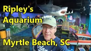 A visit to Ripley's Aquarium in Myrtle Beach SC by Bikes Boats Bivouacs 325 views 3 months ago 15 minutes