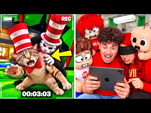 IL GATTO COL CAPPELLO HA INFETTATO KITTO TRASFORMANDOLO COME LUI.. (Brookhaven)