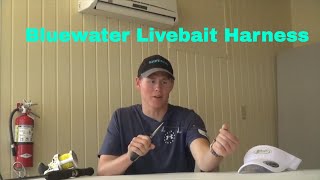 Bluewater livebait harness (stinger rig) How To 