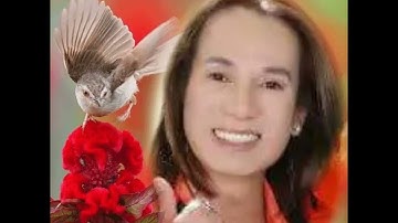 Màu Hoa Bí - Ngô Quốc Linh Giọng Ca Vàng ( Của 1 Thời Xuân Xanh Của Anh Thương Anh  Lắm 😥😥