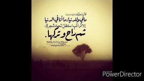 تلاوة نجدية خاشعة للقارئ أحمد العبيد |سورة القلم