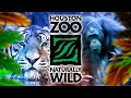 Houston Zoo Full Tour - Houston, Texas - Part One