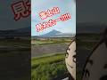 コラボライブ!!️!!️ #蒼井七海METEORA #七海ひろき #ぬい活 #推し活 #振り向き界隈 #shorts