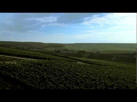 Paysages du Champagne,