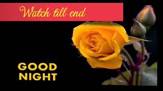 Good night wish !!RoSe!!