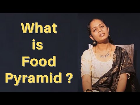 What is food pyramid ?