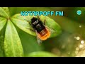 КОТЛЯРОFF FM (24.09. 2021)  Обживалися.