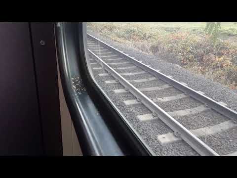 Trimet max light