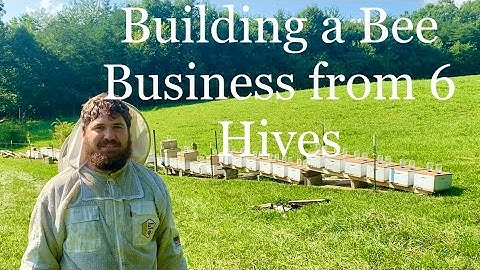 Splitting 6 Hives into 75 in 4 months
