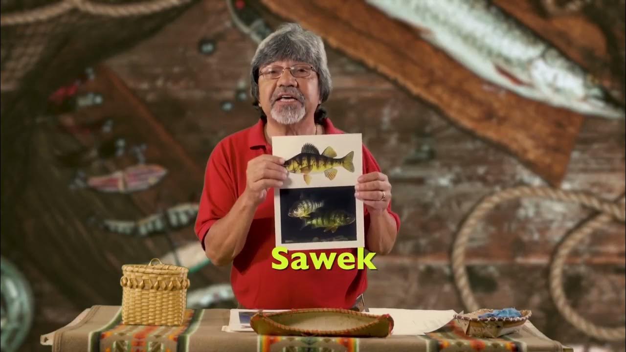 Names of Fish YouTube