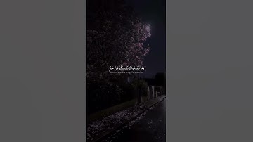 قرآن كريم بصوت الشيخ ياسر الدوسري #quran #صلوا_على_النبي #ياسر_الدوسري