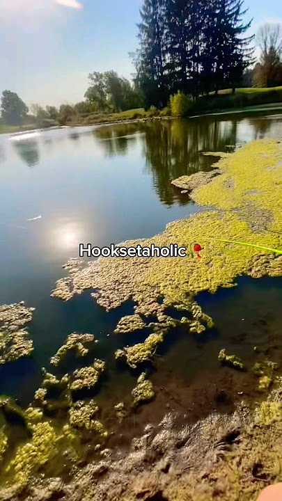 Hooksetaholic🥀 #shorts #fishing