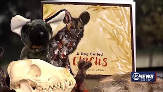 Famous Newstalk African Painted Dog Net Worth