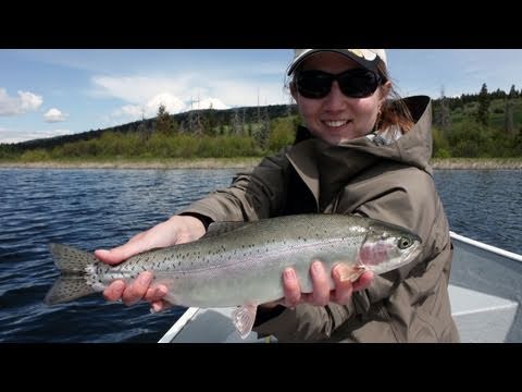 Fishing with Rod: Pretty BC rainbow trout