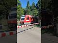 Triebwagen BR 612