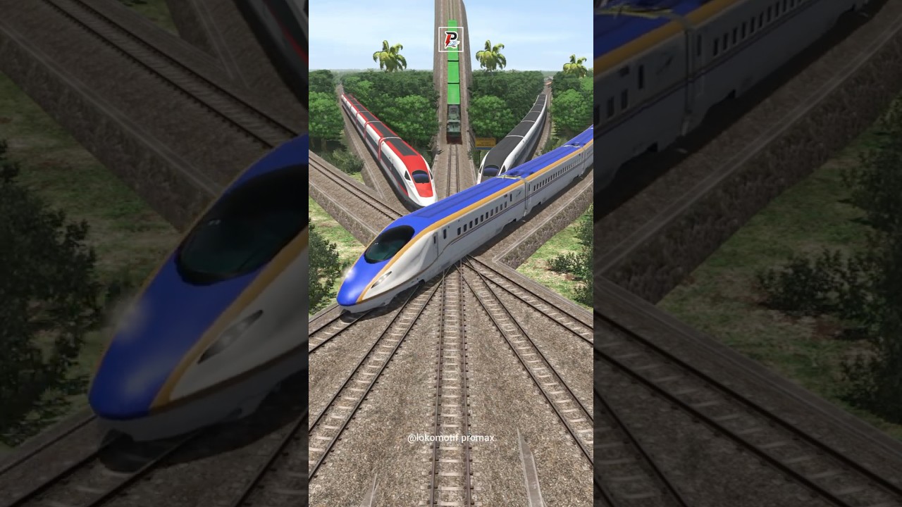 Many High Speed Trains Give Way at a 5 Track Railway Crossing 