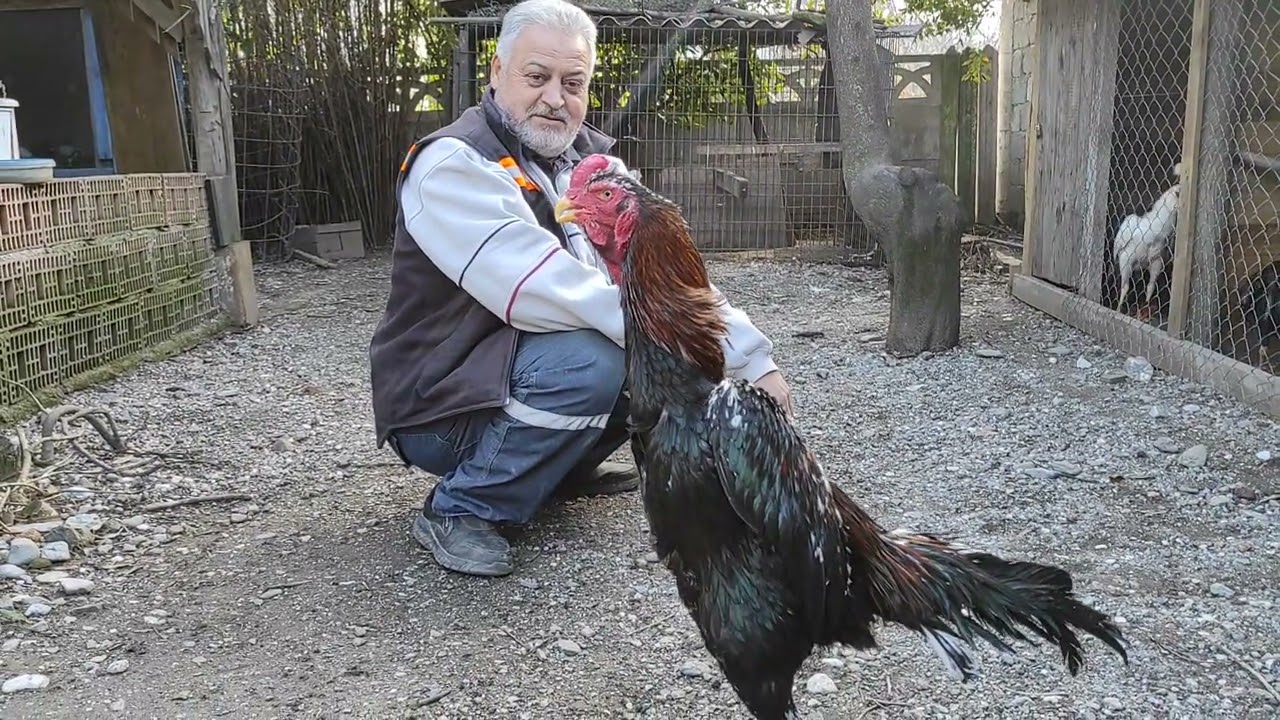 /// BİR TANK ALDIM BAKALIM NASIL KULLANACAĞIM ///