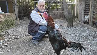 Bi̇r Tank Aldim Bakalim Nasil Kullanacağim