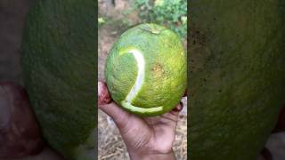 How to Carve Fruit for a Party | Fruit Carving Tutorial 2 Easy Flower design #fruit #carving